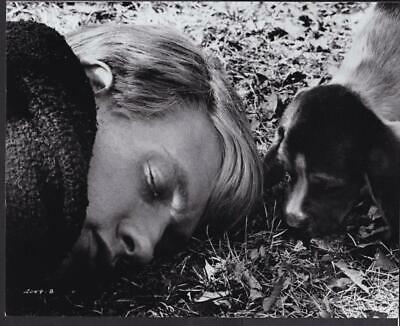Michael Sacks With Puppy Spot Slaughterhouse-five 1972 Movie Photo 38300