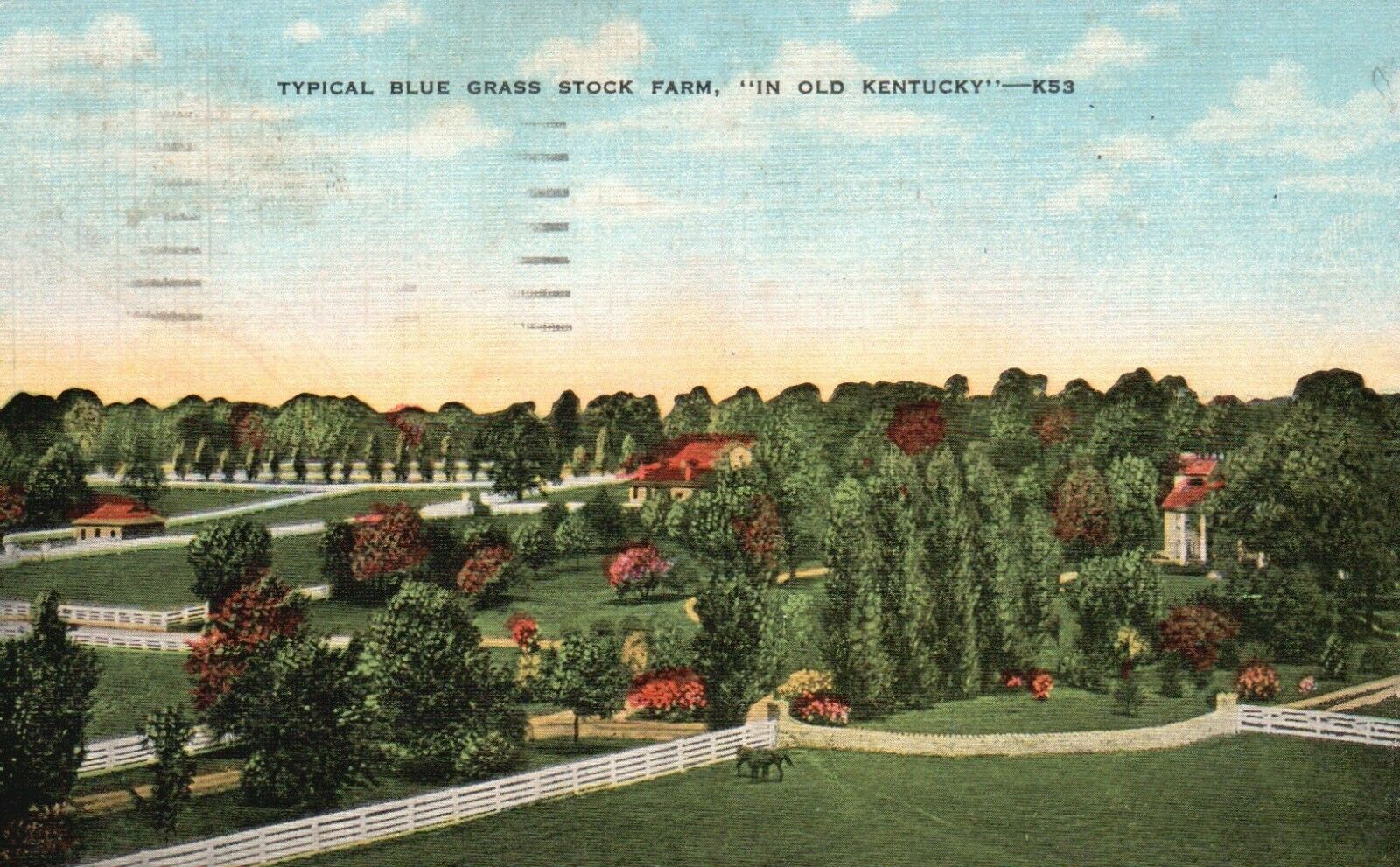 Typical Blue Grass Stock Farm "in Old Kentucky", Ky, 1958 Vintage Postcard A4211